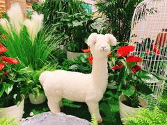 -海底捞火锅(公益西桥店)