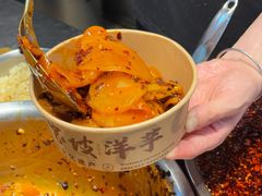 -周小亮丁家坡洋芋(全国总店)