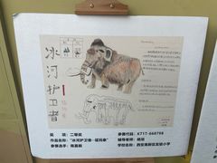 -陕西自然博物馆