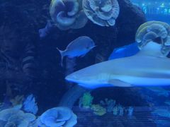 -成都浩海立方海洋公园