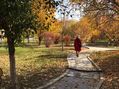 -哈密回王府景区