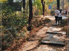 -青龙山国家森林公园