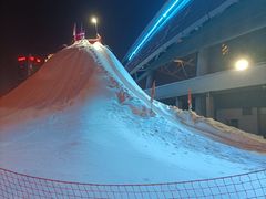 -沈阳奥体冰雪嘉年华