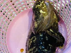 -南海渔家•渔民海鲜(亚特兰蒂斯店)