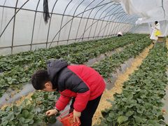 -上海长兴岛郊野公园