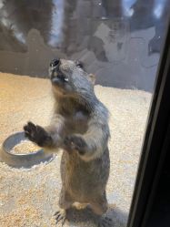 -酷嗒动物文化乐园(cutezoo西溪乐天城店)