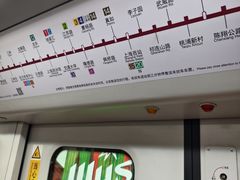 -桃浦新村(地铁站)