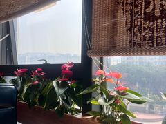 -粤点越有·茶点·粤菜(樵岭国际店)