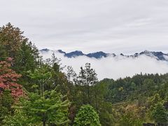 -梭布垭石林景区