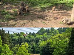 -重庆雨台山风景区
