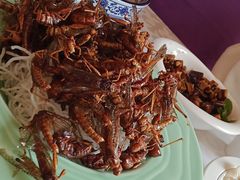 -金蝉食府(维吉奥广场店)