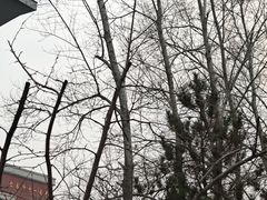 -长春市十一高中