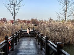 -泗洪洪泽湖湿地景区