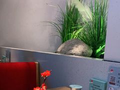 卡座-蜜桃餐厅·伴山(绿宝广场店)