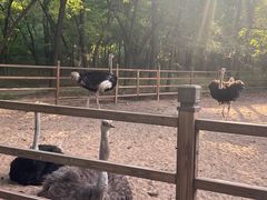 -秦皇岛野生动物园