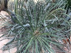 -北京植物园-展览温室