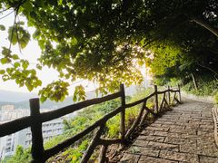 -梧桐山风景名胜区