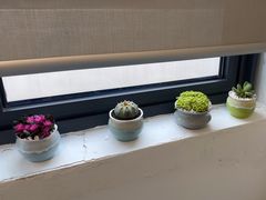 -双季花艺园艺市场(浦东店)