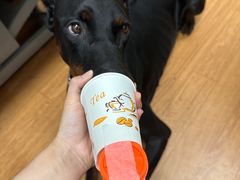 -北京观赏动物医院·24小时大型综合·猫专科·异宠专科