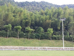 android_upload_pic-梦娜斯庄园