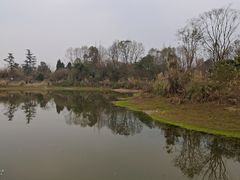 -桤木河湿地公园