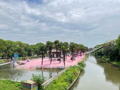 -苏州太湖西山岛开心农场