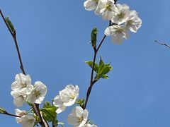 -山东省千佛山医院