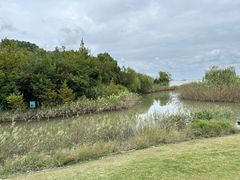 -上海吴淞炮台湾国家湿地公园