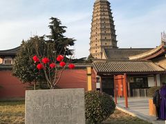 -法门文化景区