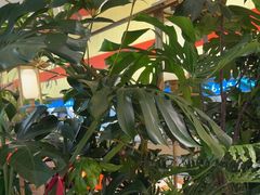 -桂满陇·蟹黄小笼汤包(中山公园店)