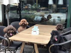 -Oh My Dog宠物沙龙(伊珊娜皮毛护理店)