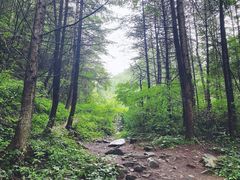 -秦岭风景区