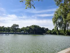 -北陵公园