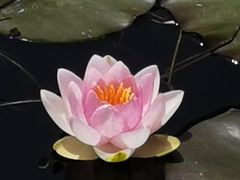 -前关湿地公园