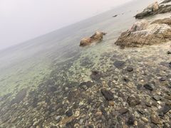 -养马岛旅游度假区