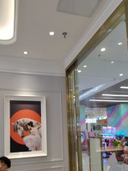 点击看大图 -YESIDO椰岛美容