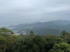 -水濂山森林公园