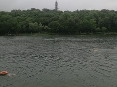 -紫霞湖公园