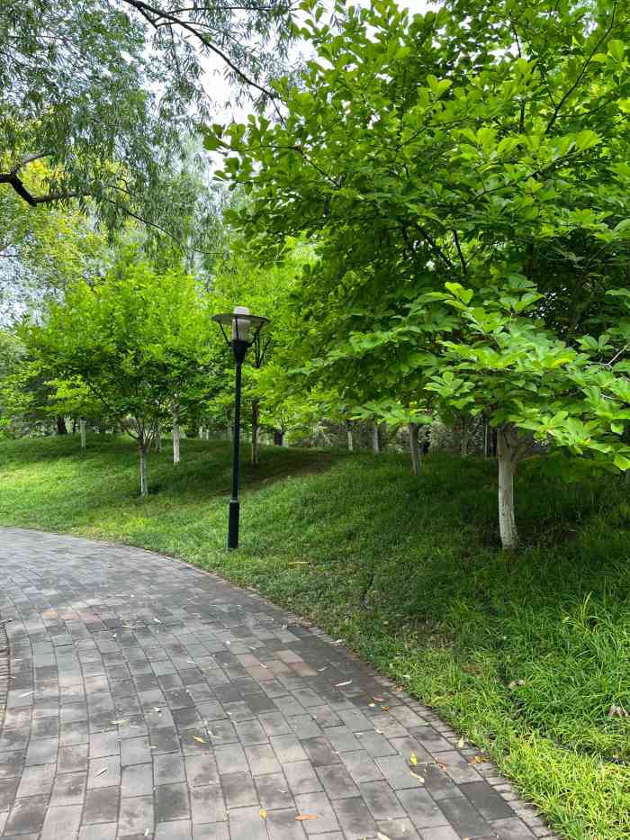 北极寺公园-"五一最后休假那天约着小伙伴又来了北极寺公.