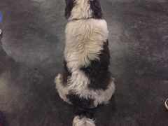 -莓园冰淇淋店