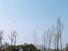 -瑶湖郊野森林公园
