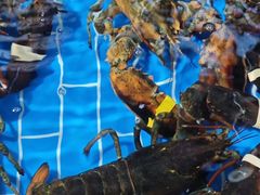 -船奇蒸汽海鲜·闽菜(八市海鲜总店)