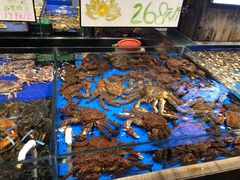-船歌·鱼水饺青岛菜(闽江二路店)