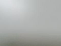 -荣家黄鱼面(前滩太古里店)