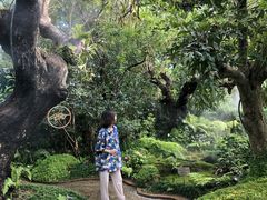 -Chom Cafe and Restaurant