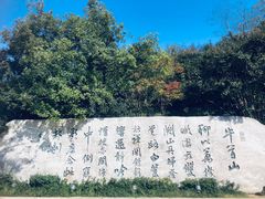 -牛首山文化旅游区