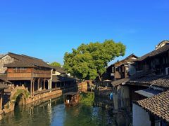 -乌镇东栅景区
