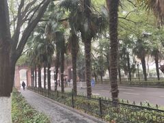 -湖北中医药大学(昙华林校区)