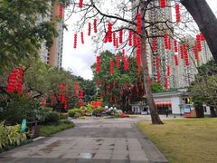 -晓港公园