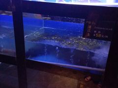 水产区-严厨老坛酸菜鱼(吴江万宝店)